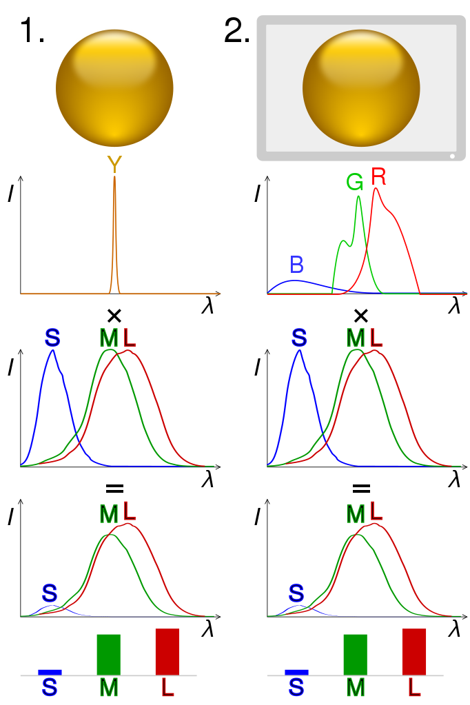 Illustration of colour metamerism