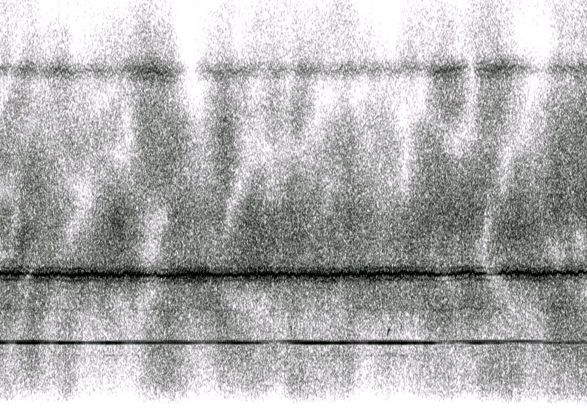 An unidentified radio signal at 6.600 MHz with strong propagation noise